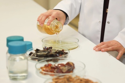 BTÜ'den ürünlerin raf ömrünü uzatacak doğal ambalaj