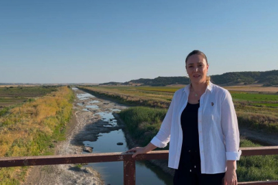 Edirne’de çeltik üreticileri alarm veriyor! Ergene Nehri kurudu, tarım tehdit altında
