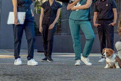 Veteriner Hekim-Sen’den hukuki zafer... Koruyucu giyim yardımı davası kazanıldı