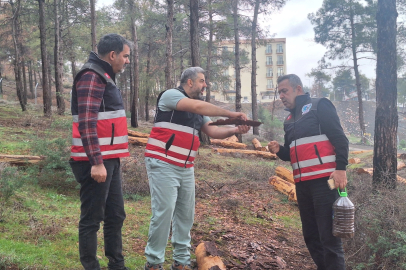 Hatay’da mücbir ağaç kesimlerine 'Tabiatı Koruma'dan açıklama
