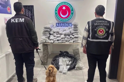 Zehir tacirlerine darbe! 659 kilo uyuşturucu ele geçirildi